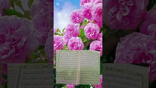 Surat Al Maidah 5 Ayat 1  9 Terjemahan [upl. by Aelyk]