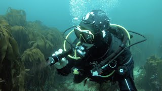 Scuba Diving Gear Review Nova 850 Tec Dive Light from Scubapro [upl. by Nikolos]