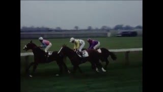 Beverley Races 1973 archive ref EYBE [upl. by Enella]