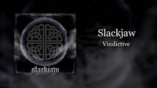 Slackjaw  Vindictive [upl. by Kcirdehs]