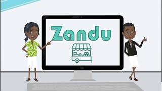 Zandu Le Marché en ligne africain [upl. by Salita396]