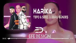 Tefo Seko amp Ebru Gündeş  Harika 2024 Mix Remix [upl. by Hyozo]