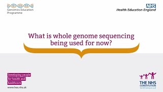 Whole Genome Sequencing What is whole genome sequencing used for now [upl. by Sikleb]