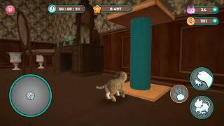 Cat Simulator 2 house 3 upstairs time mode gameplay time anachronism [upl. by Callum826]