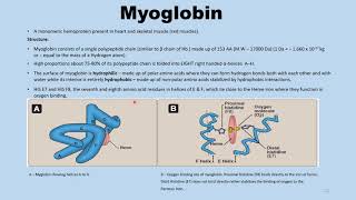 Globular amp Fibrous Proteins [upl. by Annyl]