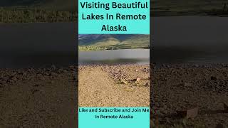 Local Lake Looks Awesome Year Round  Remote Alaska shorts [upl. by Kcirdef]