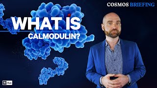 Cosmos Briefing What is Calmodulin [upl. by Nolaf]