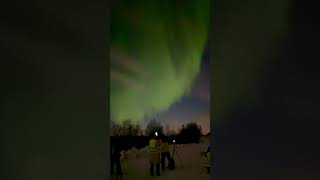 Seeing the northern lights for the first time✨ northernlightsmagic finland aurora fyp ✨ [upl. by Lyram]