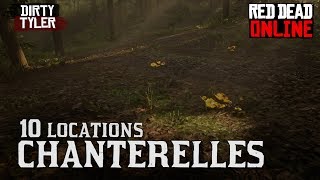 Chanterelle Locations Red Dead Online RDR2 Daily Challenges [upl. by Donielle]