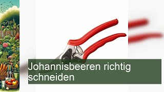 Johannisbeeren richtig schneiden [upl. by Pry]