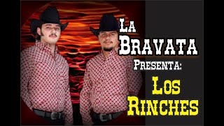 Entrevista 116 Los Rinches  Nueva agrupación norteña [upl. by Ainevuol]