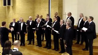 Zum Sanctus  Heilig heilig  Franz Schubert [upl. by Ahcsatan]