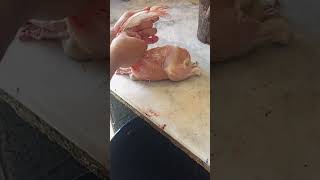 Full Hand Used for Hair Removing shortsfeed chicken shorts butcher [upl. by Garnett775]