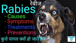 What is RabiesSign symptoms and Precautions of Rabies in DogshindiRabies in Dogs By Doctor Pets [upl. by Pansie]