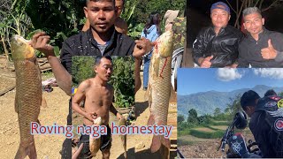 Roving Naga Homestay opening [upl. by Adlez527]