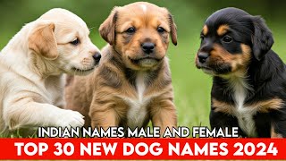 Male and Female Dog Names  Top 30 Dog Names  Unqiue Dog Names 2024 [upl. by Janos]