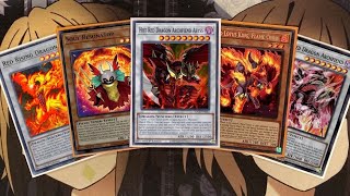 My Red Dragon Archfiend Yugioh Deck Profile for Post September 2024 Banlist [upl. by Tempest]