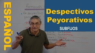 Formación de los despectivos y peyorativos en español [upl. by Eidnil]