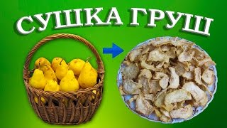 Сушка груш  Сушеные груши в домашних условиях [upl. by Werdn]