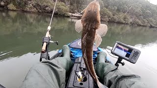 Kayak Fishing  Woronora  Georges River Fishing  Kayaking  Soft Plastics [upl. by Einaffit]