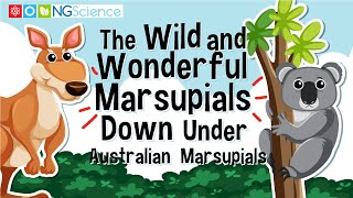 The Wild and Wonderful Marsupials Down Under – Australian Marsupials [upl. by Earaj]