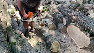 STIHL MS 361 vs STIHL MS 462 CM best chainsaw for cutting firewood 🪵 [upl. by Mcnutt172]