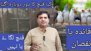 Finch Ka Setup Lagana Chahiye Ya Nahi Ye Video Lazmi Dekhen Finch ki Demand Barh Rahi Hai [upl. by Arri]