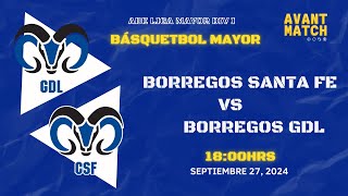 LIGA MAYOR ABE VARONIL DIV I EN VIVO 🔴  BORREGOS CSF VS BORREGOS GDL  AVANT MATCH [upl. by Anuat]