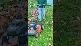 Mowing up leaves in my back yard [upl. by Jillene]