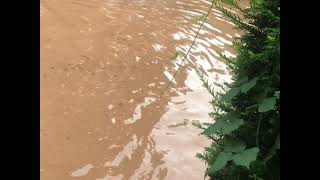 Germany Trier Flooding [upl. by Alemak338]