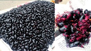 কালো জাম মাখা😋😋Black plum vortaStreet Food Corner [upl. by Zed]