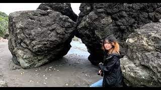 Harris Beach Oregon Coast Hwy 101 [upl. by Atinwahs743]