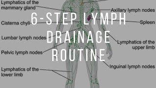 6Step Daily Self Lymph Drainage Routine [upl. by Eekcaj]