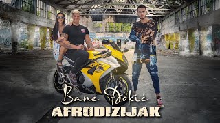 BANE ĐOKIĆ  AFRODIZIJAK OFFICIAL VIDEO [upl. by Kihtrak]