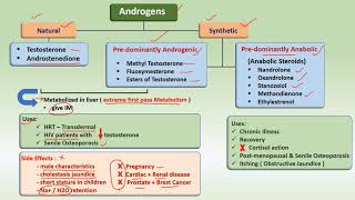 Androgens amp AntiAndrogens  Drugs  uses [upl. by Cynthia985]