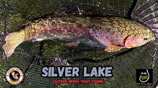 Trout Fishing In The Sierras Silver Lake [upl. by Dana253]