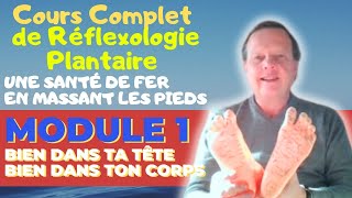 Réflexologie Plantaire Cours Gratuit en Direct Jamais diffusé en Public  Partie 1 [upl. by Necaj]