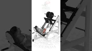 Leg Press 45° Unilateral [upl. by Neeka293]