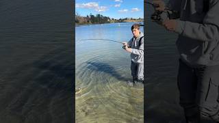 4 pound trout caught at shadow cliffs shadowcliffs trout ultralightfishing [upl. by Jangro]