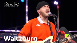 Waltzburg  Live at 3voor12 Radio [upl. by Elgna]