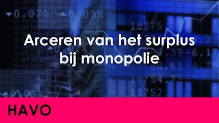 Arceren van het surplus bij monopolie  Economie voor havo  Markt amp Overheid [upl. by Aciretnahs]