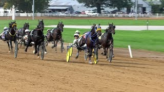 Harness Racing FanZone Top 10 Moments of 2018 [upl. by Acinehs]