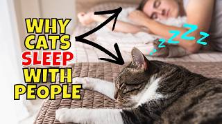 9 Scientific Reasons Why Your Cat Sleeps With You [upl. by Etnauq221]