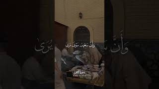 وان ليس للانسان الا ماسعى المنشاوي [upl. by Nanda]