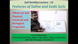 Features of Saline and Sodic Alkali Soils [upl. by Ritchie231]