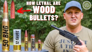 How Lethal Are WOOD Bullets  50 BMG 12 Gauge 9mm amp More [upl. by Pollard]