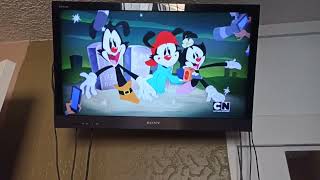 Animaniacs 2020 Reboot NOT FAKE Intro in Latin America [upl. by Kingston]