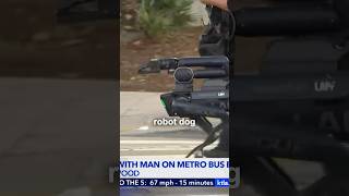 LAPD Robot Dog VS Bus Standoff Situation KTLA5 [upl. by Aleuname822]