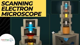 How Scanning Electron Microscope works  Engineering Videos  Animation LearnEngg Microscope [upl. by Horwath95]