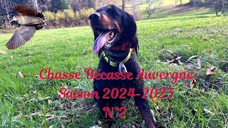 Chasse Bécasse Auvergne saison 2024 2025 n°2 [upl. by Jemine]